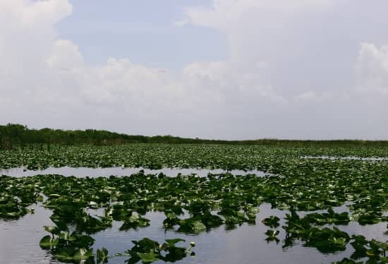 everglades national park florida water